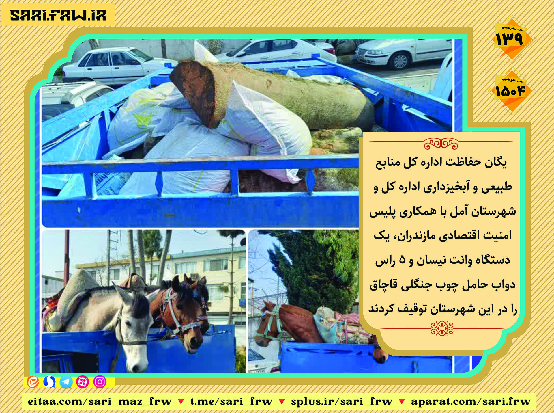 توقیف نیسان و پنج راس دواب حامل چوب جنگلی قاچاق در آمل